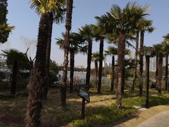 -黄兴公园
