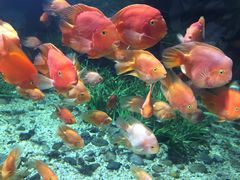 -福州罗源湾海洋世界旅游区