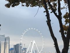 -金鸡湖桃花岛
