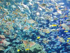 -成都浩海立方海洋公园