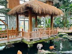 -南宫五洲植物乐园