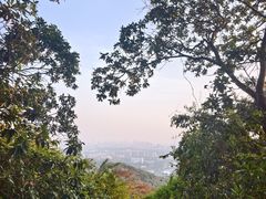 -火炉山森林公园