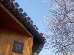 -春风习习