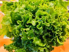 -佟爷·老北京炙子烤肉(动物园店)
