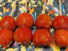 -羲和雅苑•北京烤鸭(国贸商城店)