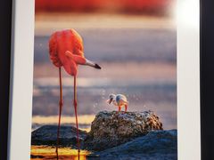 -罗红摄影艺术馆