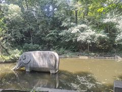 -紫霞湖公园
