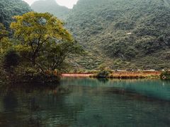 -靖西鹅泉风景区