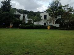 -青花餐厅(雅谷泉山庄酒店)
