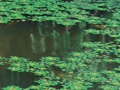 -高子水居