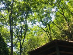 -九龙潭景区