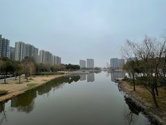 -南翔镇银翔湖公园