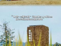 -良渚古城遗址公园