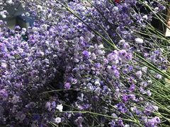 -谷莠子花艺气球派对·绿植造景·花艺沙龙(东海缤纷天地店)