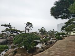 -罗红摄影艺术馆