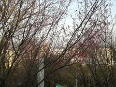 -飞凤山奥体公园