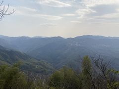 -四明山国家森林公园
