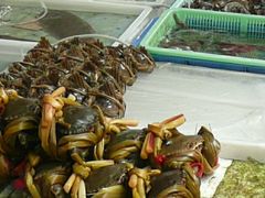 -澳门环岛游湾仔码头