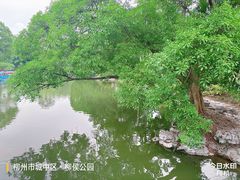 -柳侯公园
