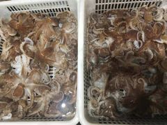 -郑庄脂渣海鲜楼(九水路店)