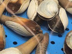 -大连湾旭日·家宴·海肠捞饭(马栏广场店)