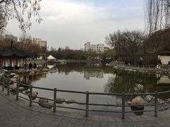 -莲湖公园