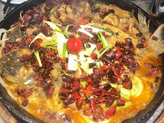 -老板恋上鱼(恒隆广场店)