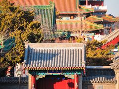 -天津大悲禅院