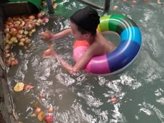 -南宫温泉水世界