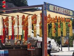-龙口南山旅游景区