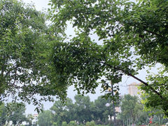 -黑龙江大学