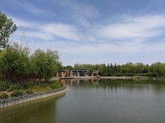 -大兴滨河森林公园