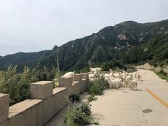 -白草畔自然风景区