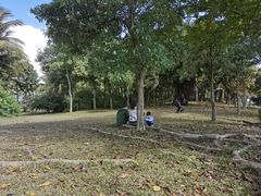 -深圳湾公园(南山区)