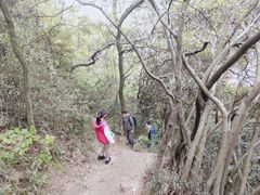 -杭州半山国家森林公园