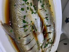 清蒸白水鱼-同庆楼(滨湖万达广场店)