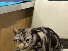 -美迦爱-牙专科·兔科·骨科诊疗中心(北苑店)
