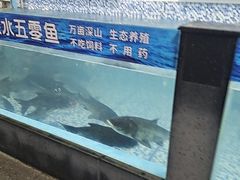 -故乡缘·香格里拉山庄(冷竹路店)