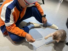 -琪喵猫屋·撸猫猫咖·猫舍