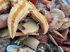 -永红源啤酒·烧烤·海鲜·大排档(青特城店)