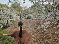 -中国茶叶博物馆(双峰馆区)