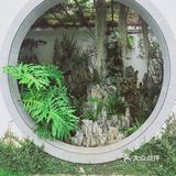 周末放假肯定要去逛公园呀