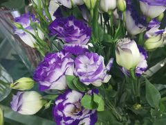 -花心思鲜花店(武昌徐东店)