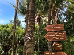 -三亚湾海居铂尔曼度假酒店