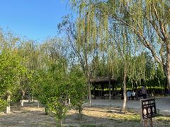 -西青郊野公园