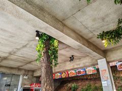 -天怡·鱼工厂(梅溪湖店)
