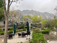 -北京凤凰岭