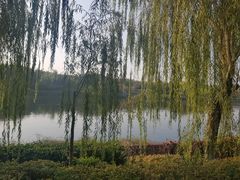 -西安汉城湖景区