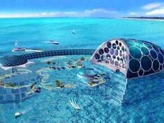 -迪拜水族馆及水下动物园