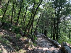 -阳台山自然风景区